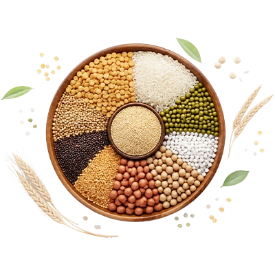 food dish